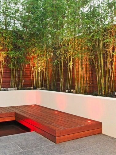 In addition to the wooden fence, the bamboos participate in the decoration and protect the garden from the looks of the neighborhood to obtain a pleasant outdoor space 