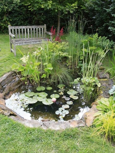 Absolute romanticism for this outdoor decoration punctuated by a lovely garden pond and a wooden bench where we would relax in the heart of the greenery 