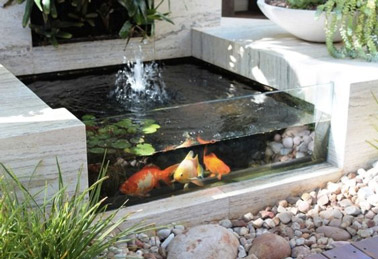 To make the happiness of young and old, here is a modern pool to watch the fish with its glass! A garden design and cute design 