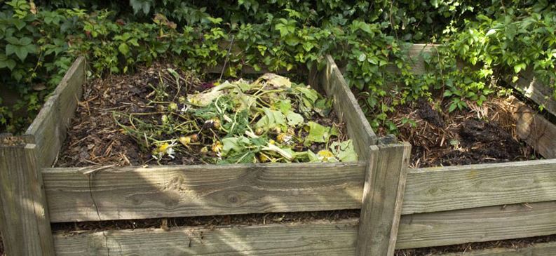 How to make a Bio Compost