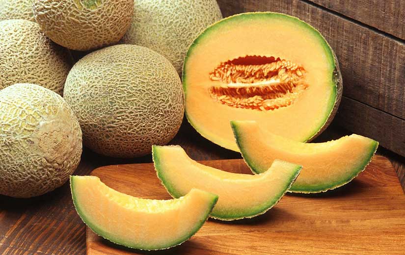 Melon Cantaloupe Varieties