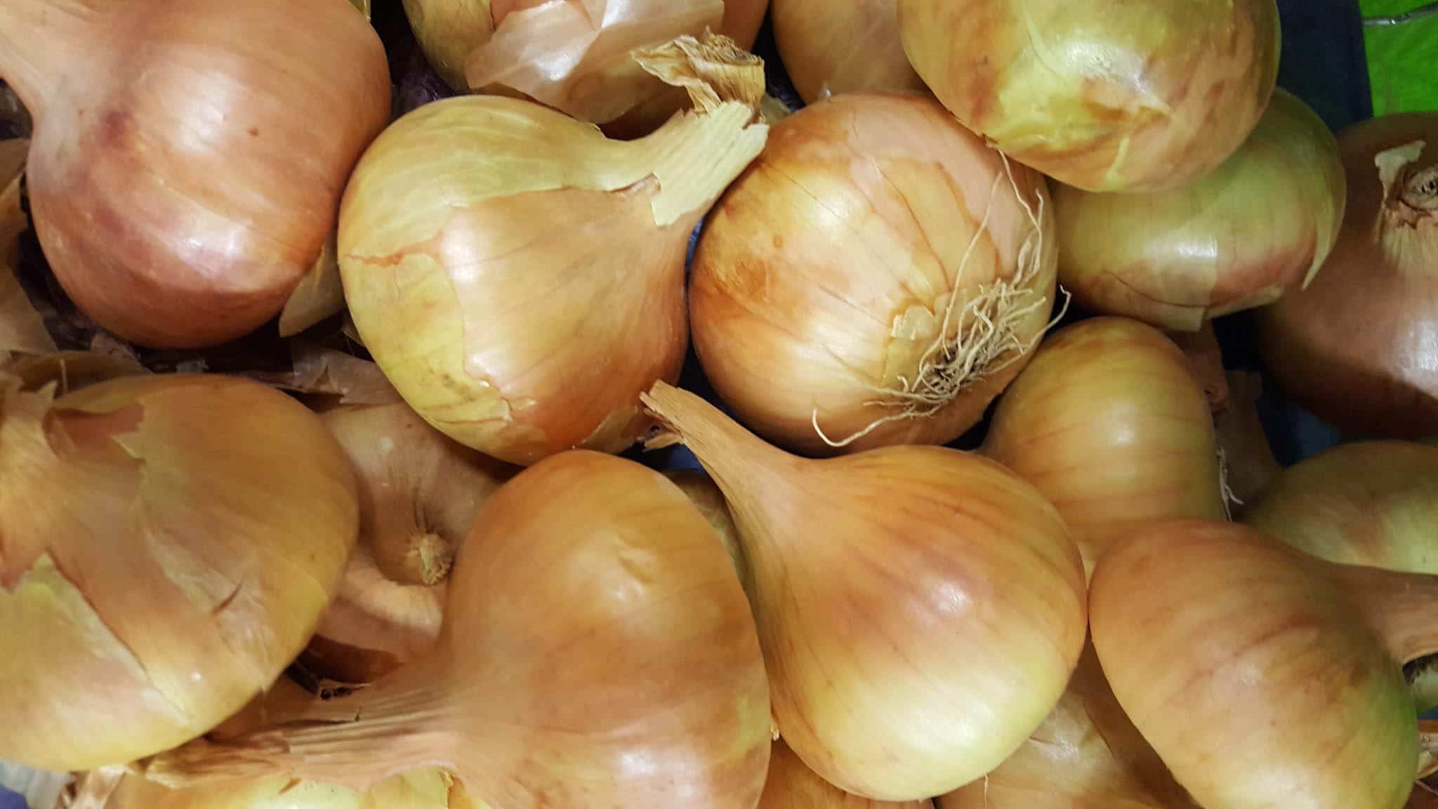 Yellow Onions