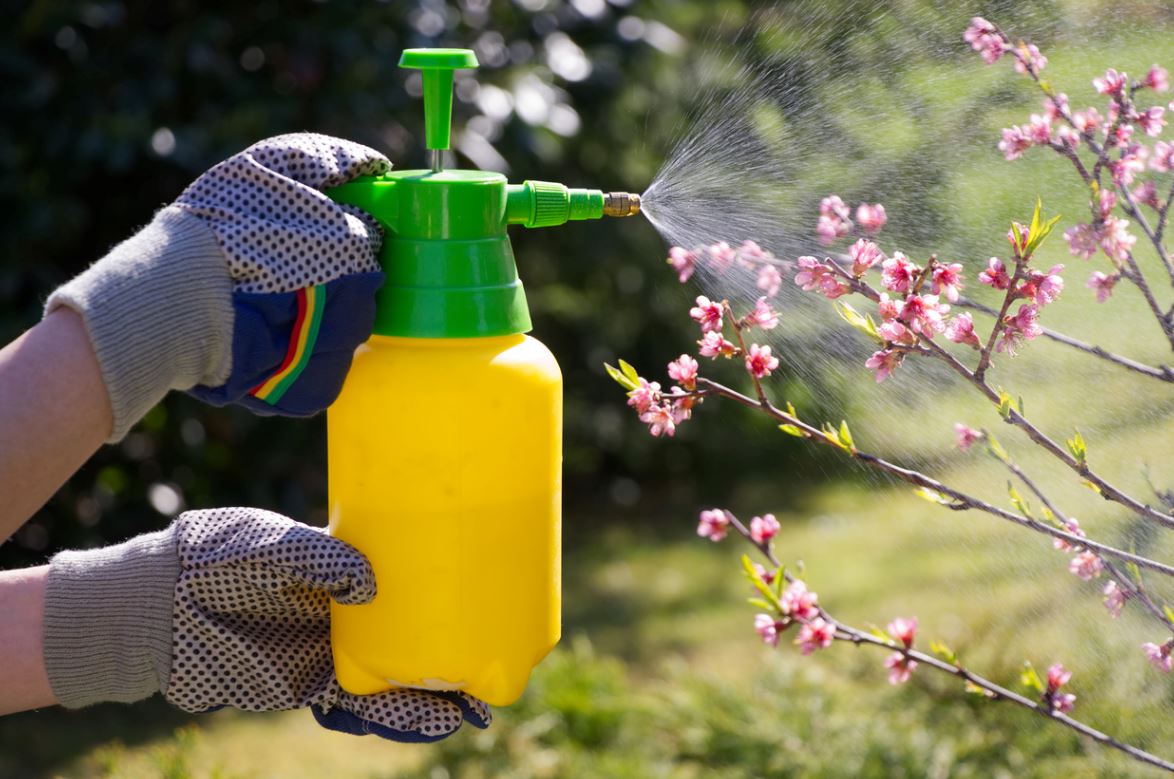 Natural insecticides