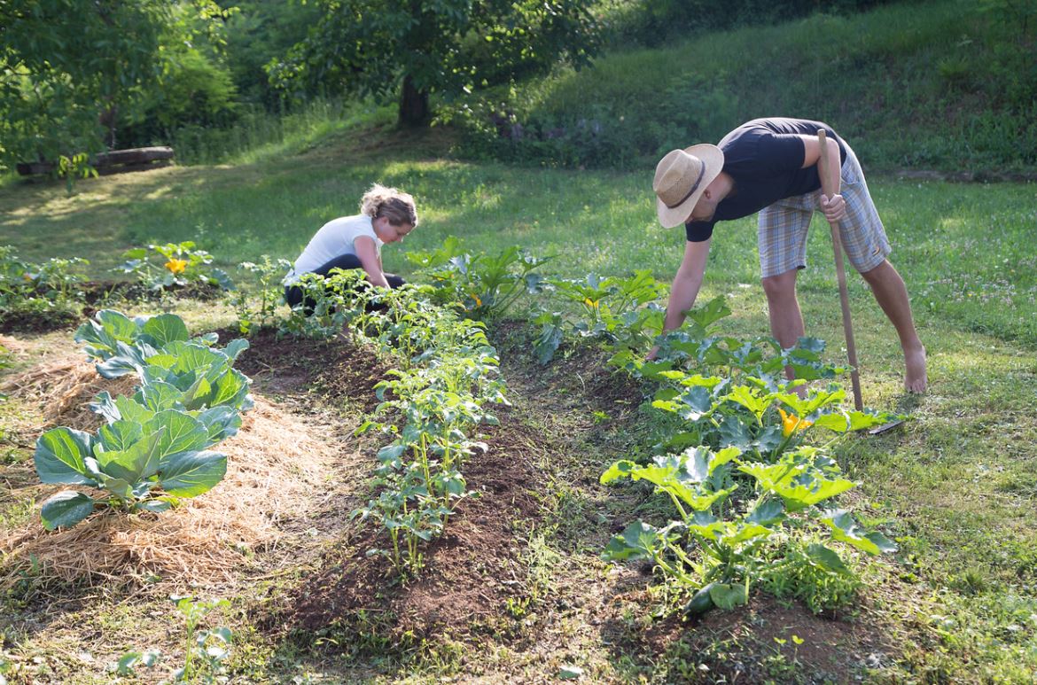 Permaculture Gardening Without Fertilizers